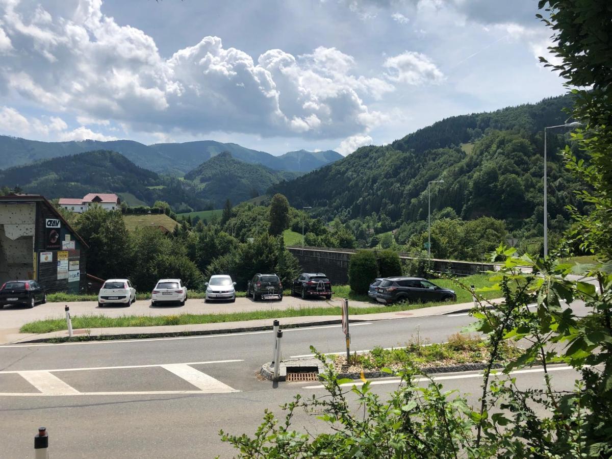 Ennstalerhof Hotel Grossraming Bagian luar foto